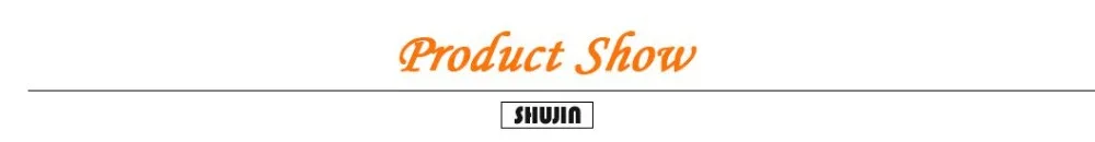 Shuin1 (2)