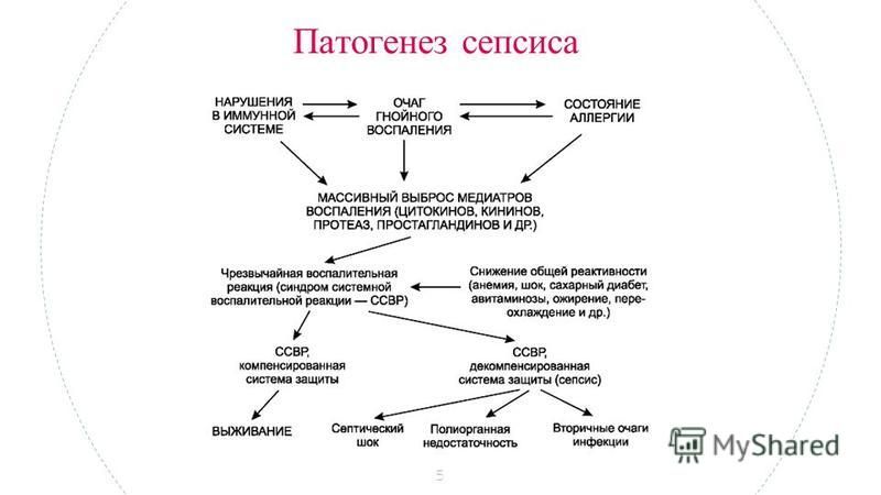 Этиопатогенез сепсиса. Патогенез сепсиса схема. Патогенез синдрома системной воспалительной реакции. Патогенез развития сепсиса. Механизм развития сепсиса.