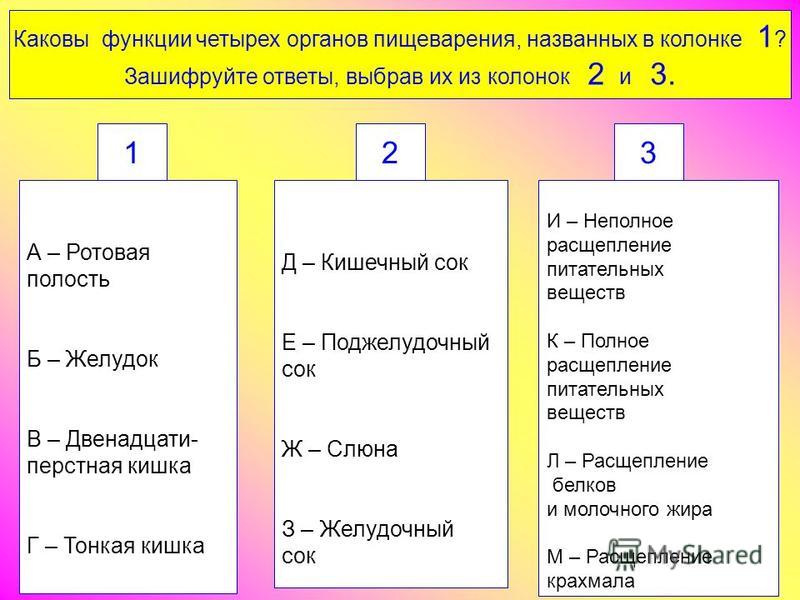 Какова функциональная. Какова их функция?. Каковы функции. Каковы обязанности этих органов;. Из перечня 1-10 выберите и зашифруйте ответы на вопросы а-м.