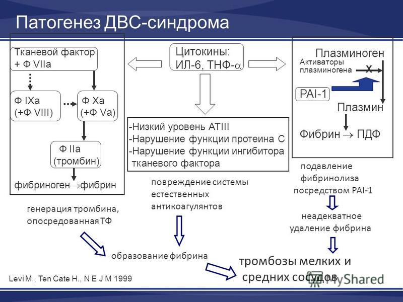 В схемах лечения двс синдрома присутствуют