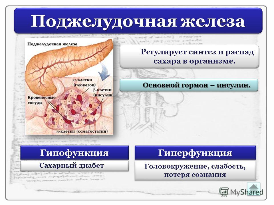 Гиперфункция глюкагона. Поджелудочная железа инсулин гиперфункция. Гиперфункция гормонов поджелудочной железы. Схема поджелудочная железа инсулин. Гиперфункция гормонов поджелудочной железы инсулин.