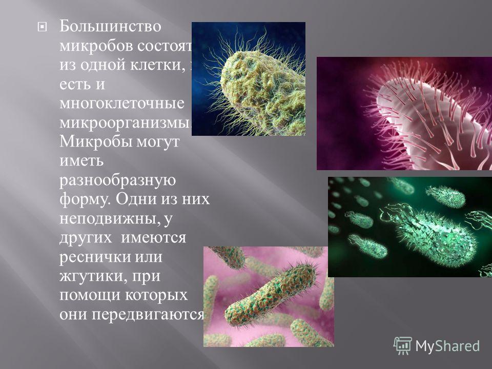 Большинство бактерий можно увидеть. Бациллы многоклеточное строение. Микробы и бактерии. Микроорганизмы состоят из. Микроорганизмы бактерии.