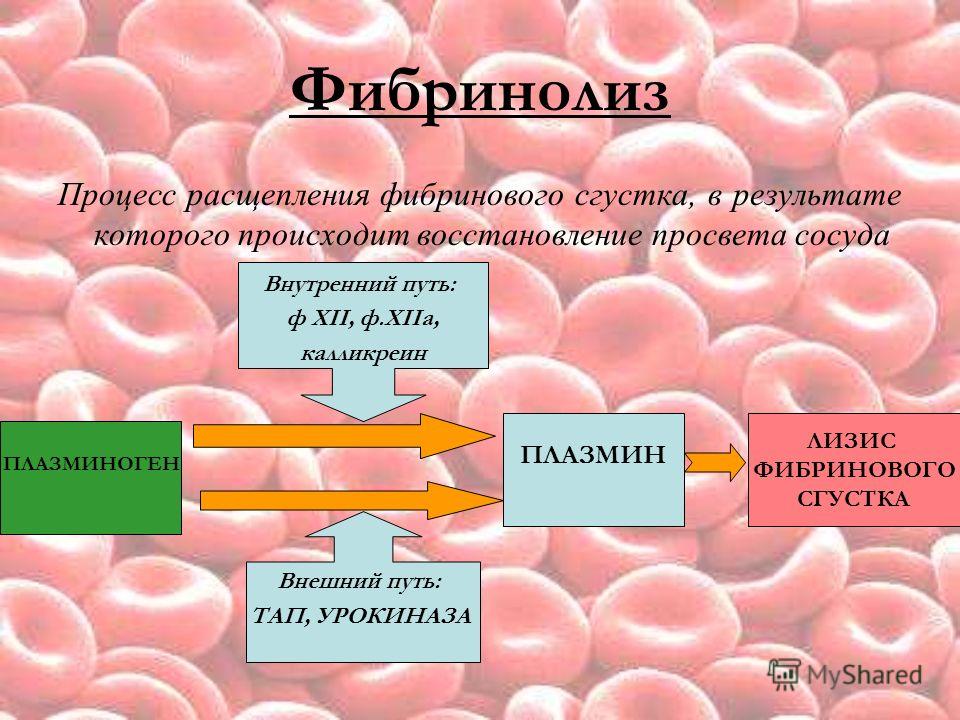 Прожилки крови фото