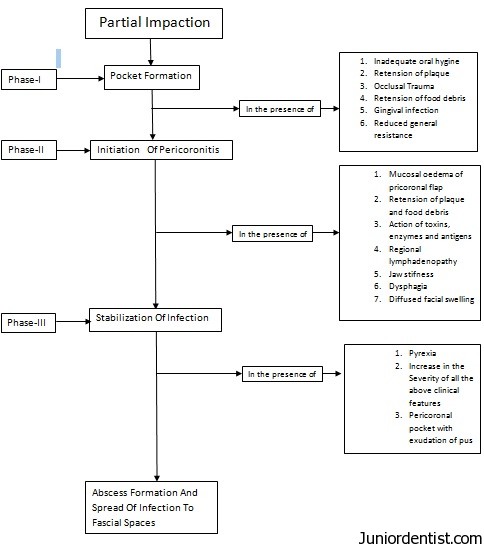 perichoronitis pathogenesis