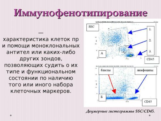 Иммунофенотипирование 