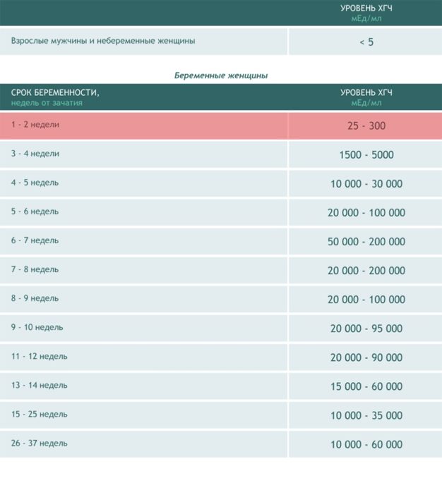 Показатели ХГЧ при нормальной маточной беременности