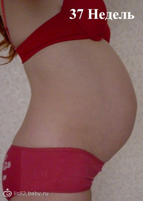 Маленький живот у беременной. Маленький животик на 9 месяце. Живот на 9 месяце беременности. Маленький беременный живот на 9 месяце. Маленький живот на 8 месяце.