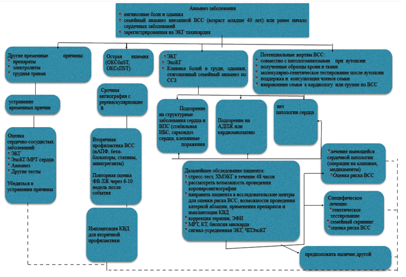 Диагностический алгоритм действий при обращении пациента с эпизодами устойчивой ЖТ/ФЖ