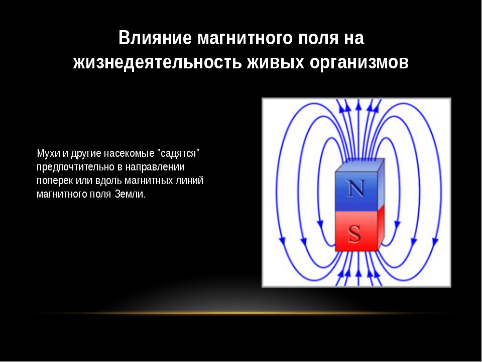 Какую роль играет магнитное поле. Ввлинии магнитного поля. Воздействие магнитного поля. Магнитное воздействие. Магнит в электромагнитном поле.