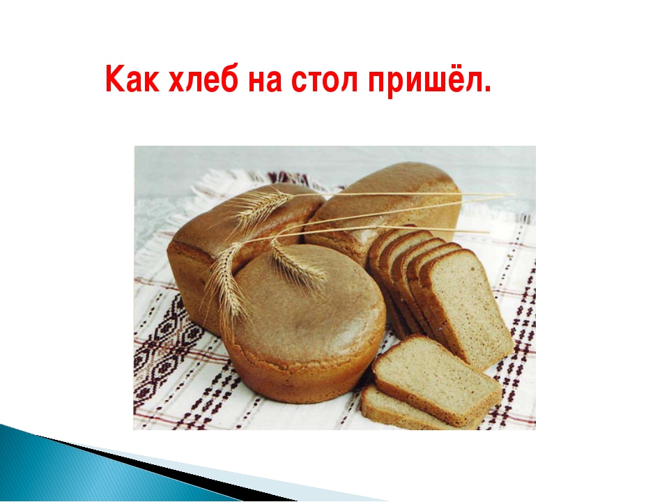 Где хлеб. Хлеб на стол пришел. Как хлеб на стол пришел. Как хлеб на стол пришел для детей. Как приходит хлеб.