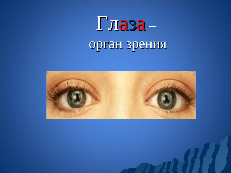 Глаза это орган чувств. Глаза орган зрения. Глаз для презентации. Органы чувств человека глаза орган зрения. Орган зрения 3 класс.