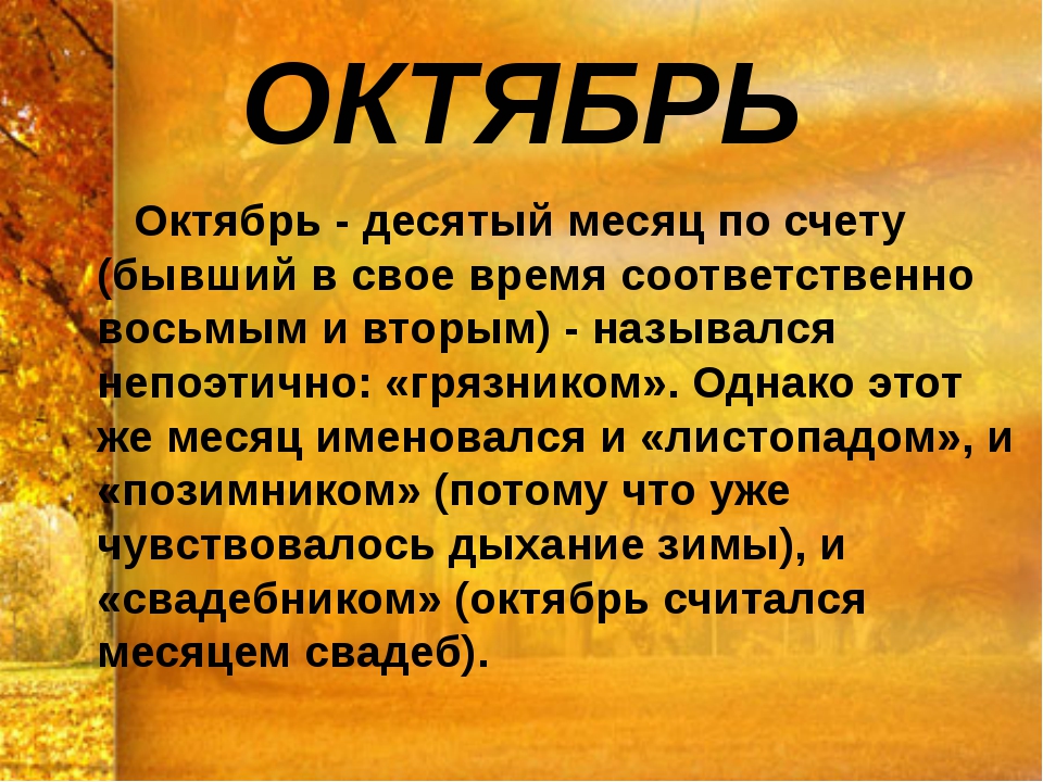 Название октября. Октябрь название месяца. Происхождение названия месяца ноябрь. Рассказ про октябрь. Происхождение месяца сентябрь.