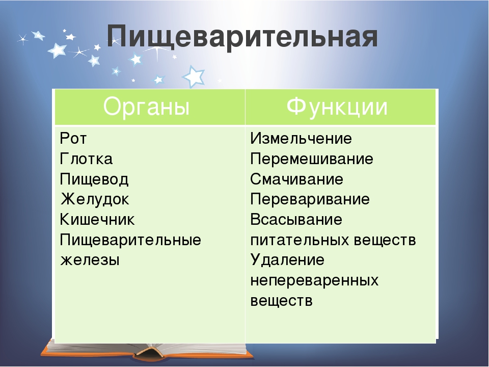 Функции животных. Функции органов пищеварительной системы. Органы пищеварения и их функции животного. Функции органов пищеварения биология 8 класс. Пищеварительная система таблица 7 класс.