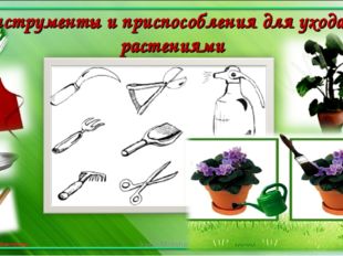 Инструменты и приспособления для ухода за растениями Iraida Mokshanova Iraida