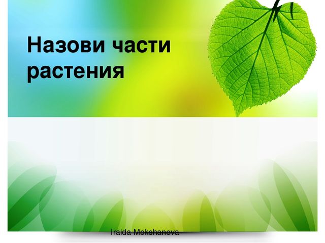 Назови части растения Iraida Mokshanova 
