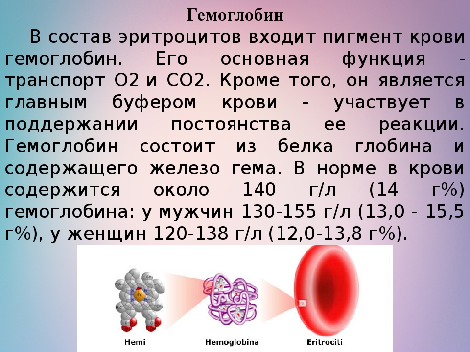 Содержание соли в крови человека. Гемоглобина в крови содержится:. Состав гемоглобина крови человека. Гем состав. Железо в гемоглобине.