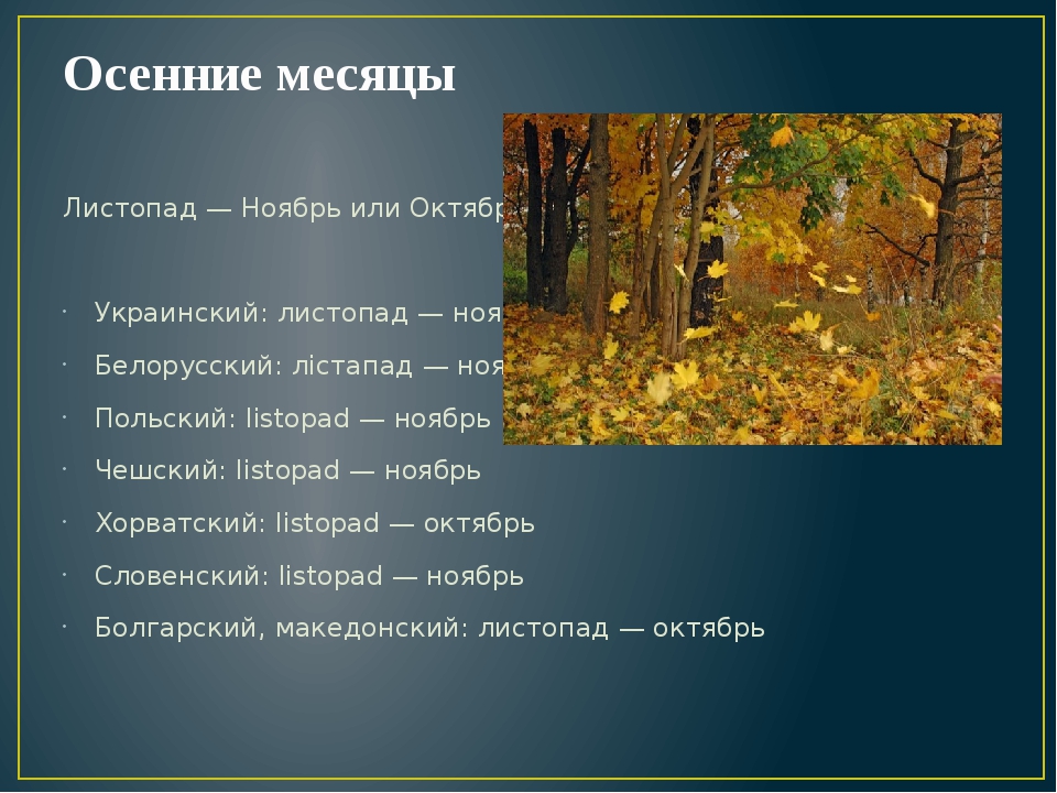 Листопад месяц. Название осенних месяцев. Древние названия осенних месяцев. Народные названия месяцев осени. Осенние месяцы в языках народов.