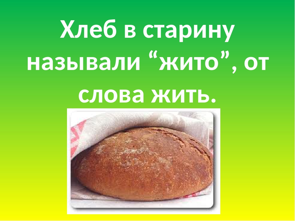 Жито значение слова. Информация о хлебе. Почему хлеб назвали хлебом. Важность хлеба. Помоги на хлеб.