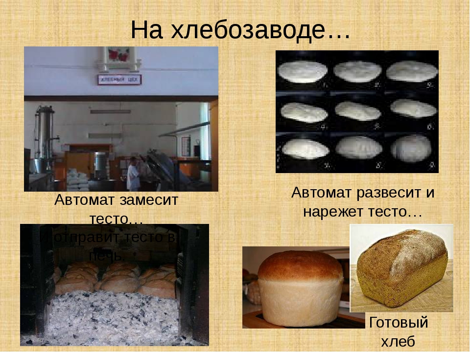 Средства производства тест. Хлеб в печи на хлебозаводе. Презентация хлебозавод. Презентация про хлебокомбинат. Этапы приготовления хлеба для детей.