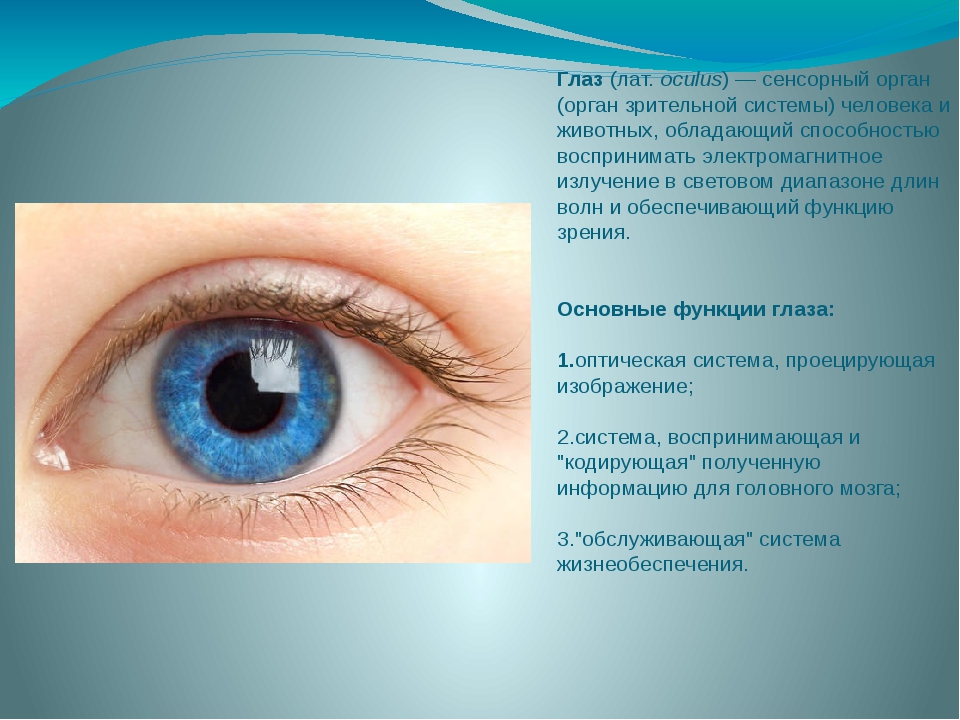 Глаз орган чувств человека. Строение глаза. Глаза человека для презентации. Глаза орган зрения. Глаз-орган зрения презентация.