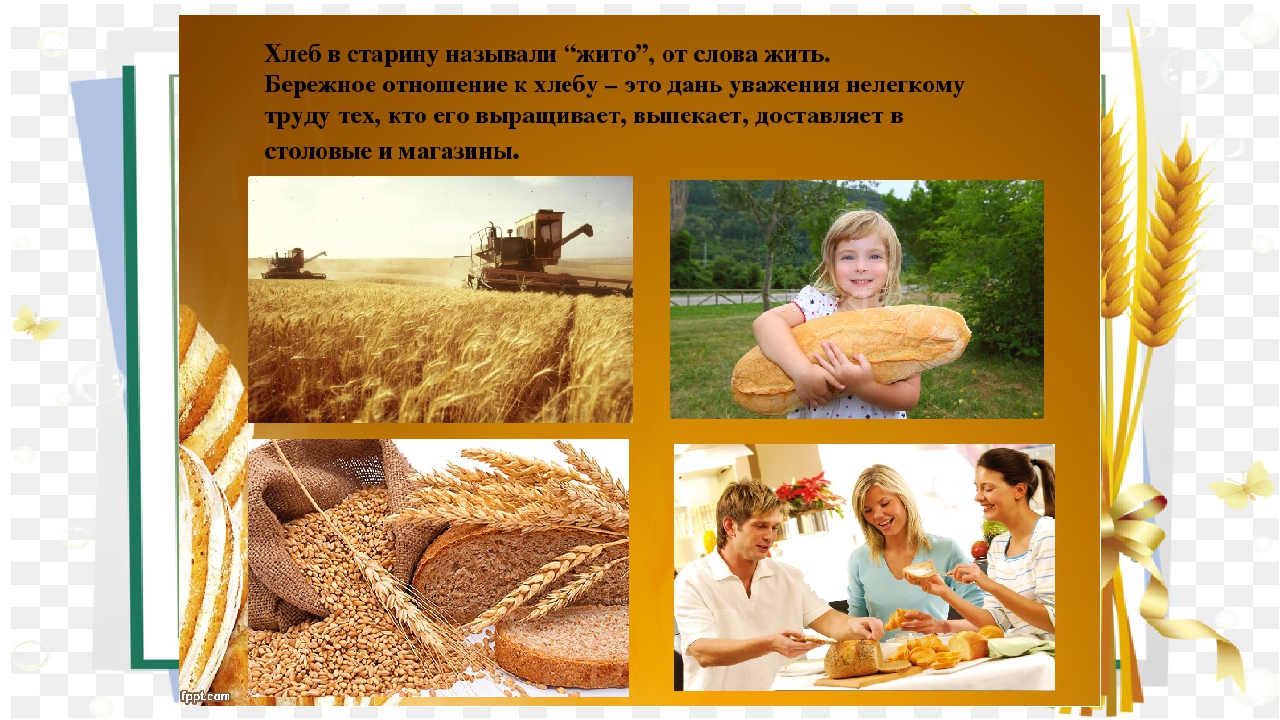 Работа жито. Бережное отношение к хлебу. Хлеб для презентации. Презентация про хлеб для детей. Презентация про хлеб для дошкольников.