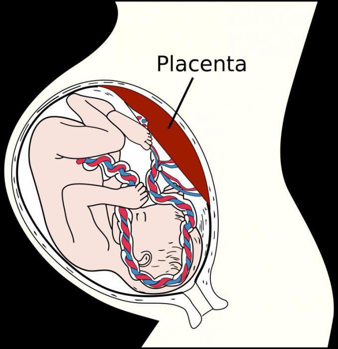 ручное отделение плаценты
