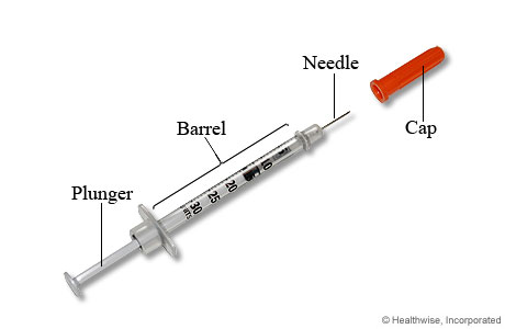 Parts of a Syringe