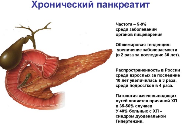 Желудочно-кишечный тракт (ЖКТ) человека. Анатомия, строение, заболевания, симптомы, лечение