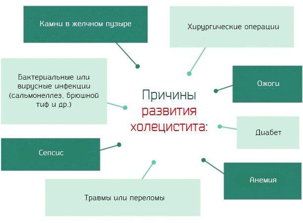 Желудочно-кишечный тракт (ЖКТ) человека. Анатомия, строение, заболевания, симптомы, лечение