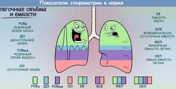 Рестрикция дыхательных путей. Что это такое, спирография, причины и лечение