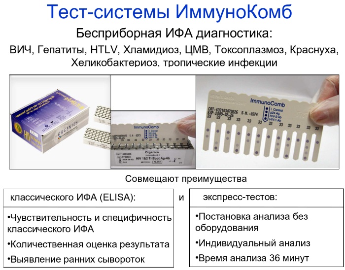 TORCH-инфекции (ТОРЧ-инфекции). Что это такое, анализ крови при планировании беременности, расшифровка