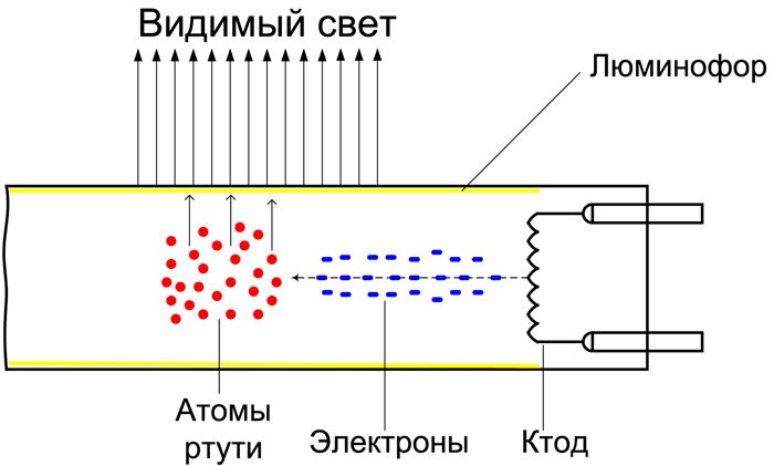 Схема строения УФ-лампы