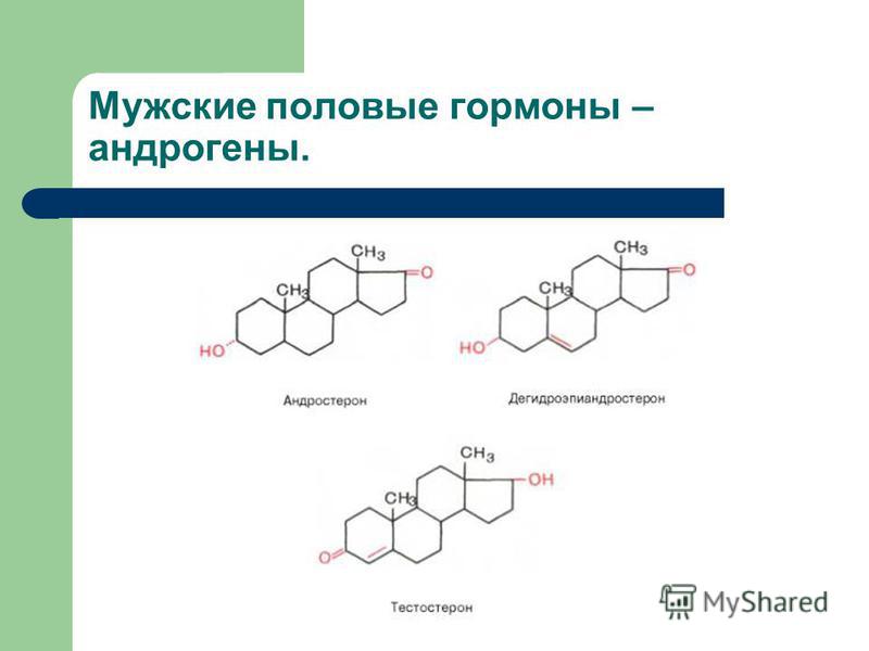 Мужской гор. Андроген стероидный гормон. Мужские половые гормоны формула. Тестостерон формула структурная. Андрогены тестостерон андростерон гормон функции.