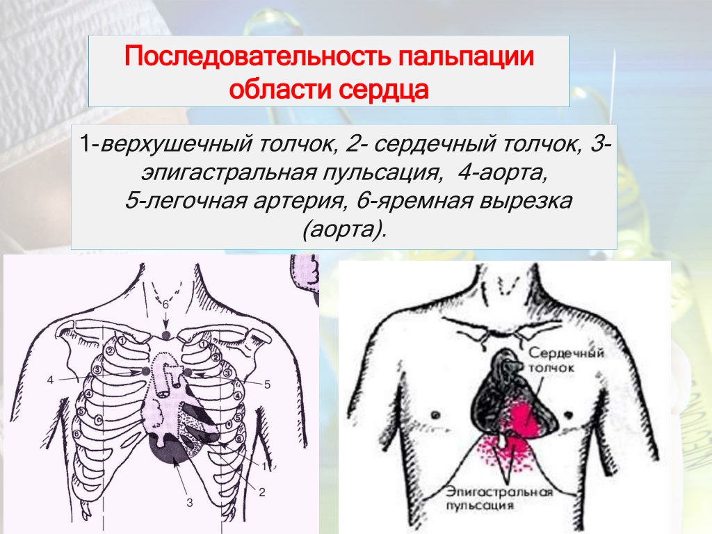 Область сердца. Пальпация области сердца. Области верхушечного толчка сердца. Пальпация верхушечного толчка сердца. Сердечный толчок определяется.