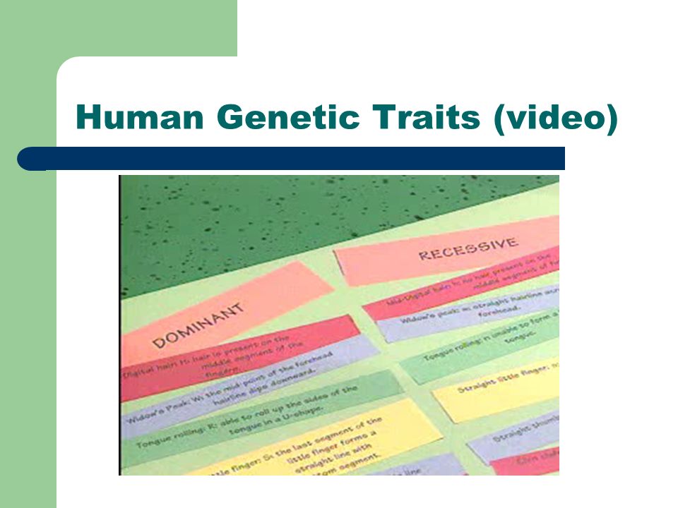 Human Genetic Traits (video)