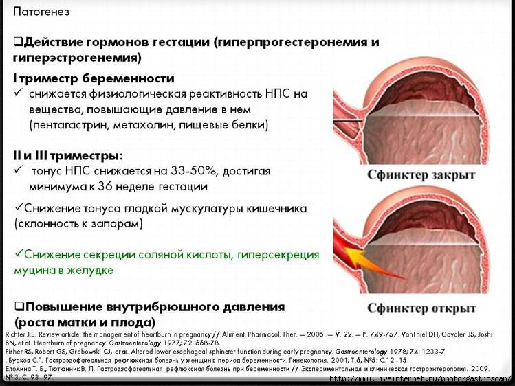 Схема арвт при беременности