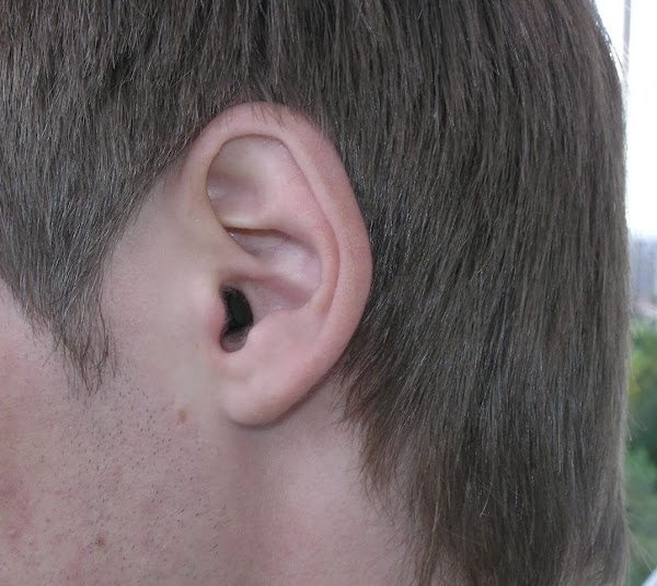 Волосы в ушах у мужчин фото