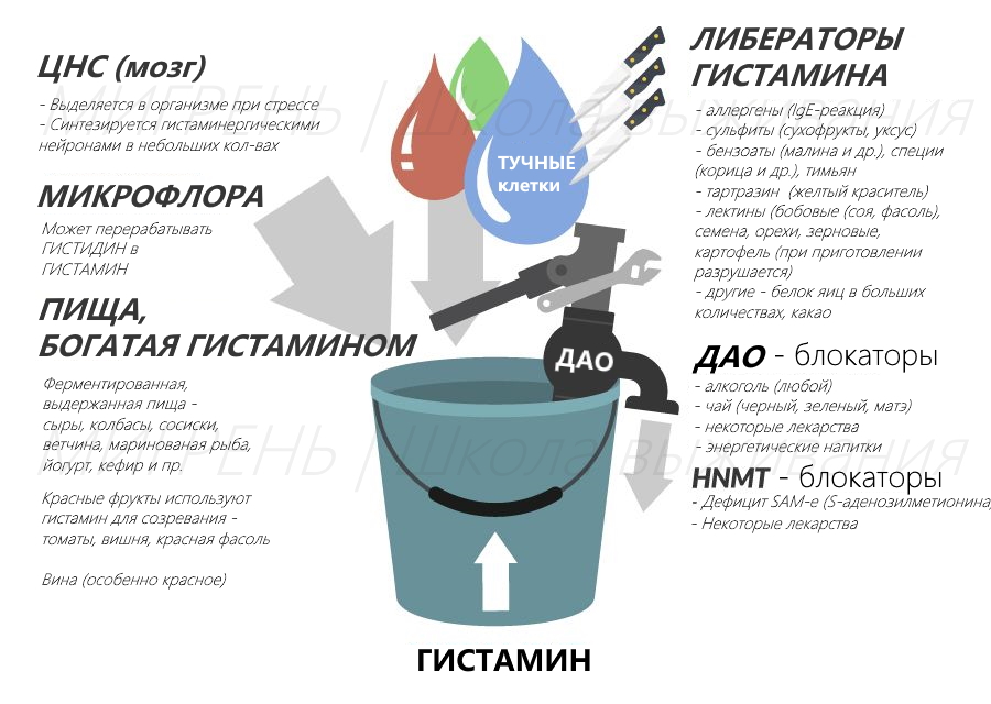 Гистамин, тучные клетки, ДАО