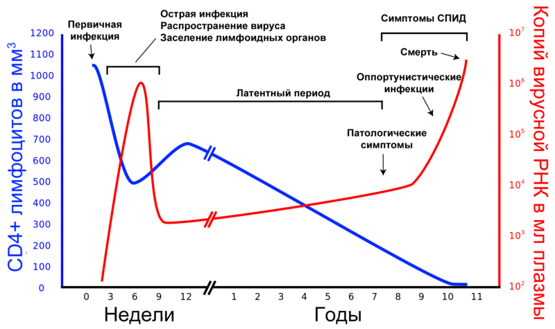 График развития СПИД