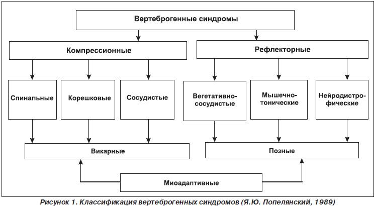 Классификация вертеброгенных синдромов