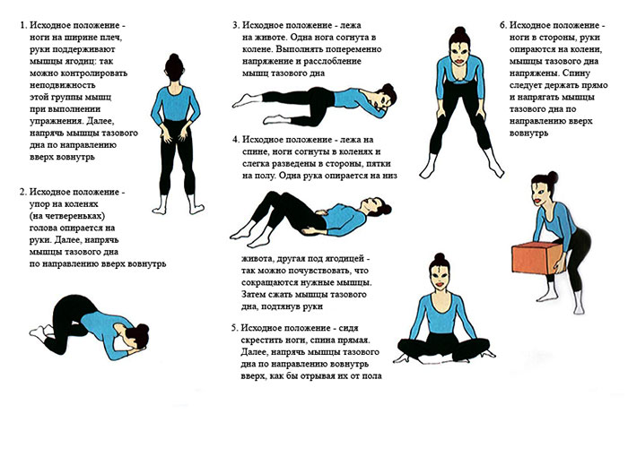 Упражнения для тренировки мышц тазового дна