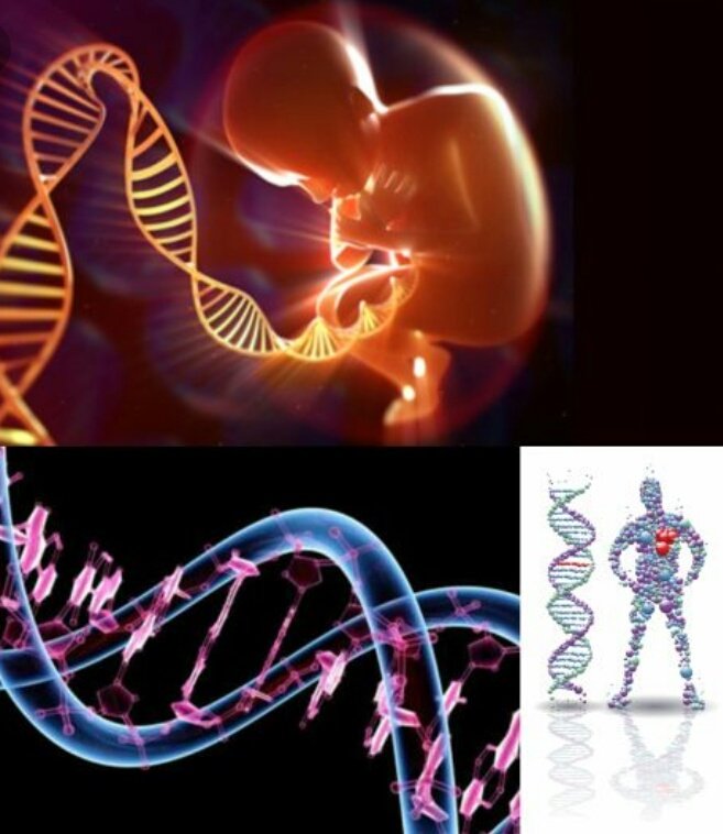 Ген геном генетические аппараты. Генетика. ДНК человека. Наследственные заболевания ДНК. Ген человека.