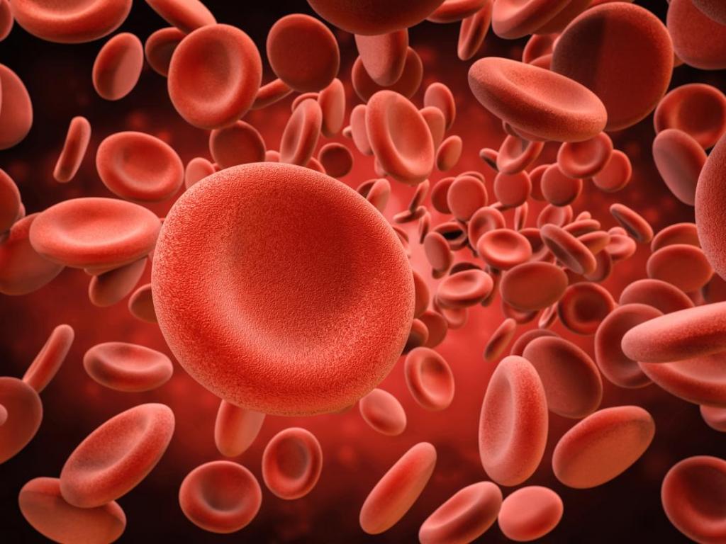 Красные клетки крови (эритроциты)