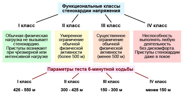 Функциональные классы стенокардии напряжения