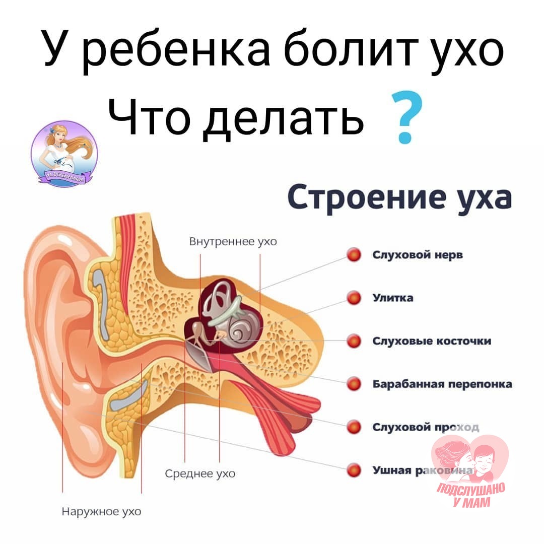 Давит закладывает уши