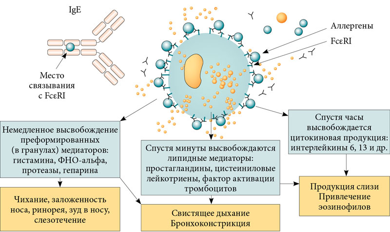 Ксолар Инструкция По Применению Цена