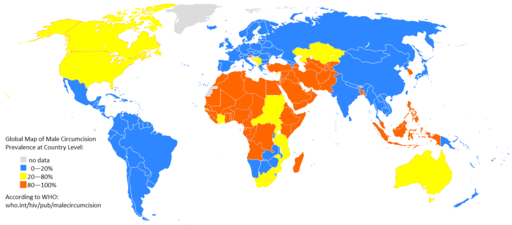 Global Map of Male Circumcision Prevalence at Country Level
