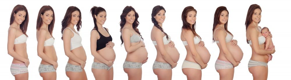 How long is pregnancy - body changes in the trimesters