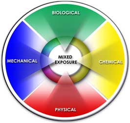 circular diagram showing mixed exposures: biological, mechanical, physical, chemical