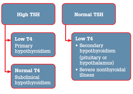 Figure 1. Interpretation of hypothyroid function test
results